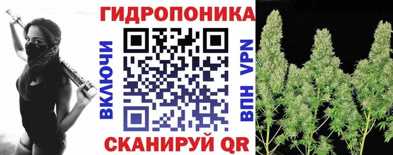 Купить закладку А ПВП  Конопля  МЕФ  Псилоцибиновые грибы  Кокаин  Гашиш  Слободской