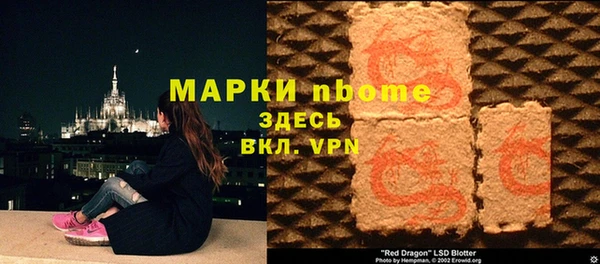 стаф Коряжма