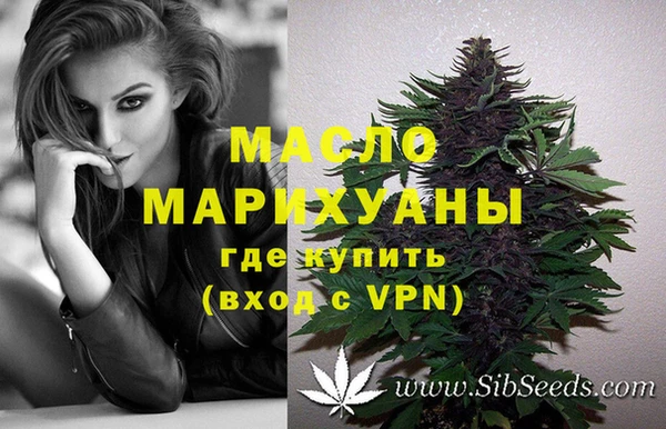 стаф Коряжма