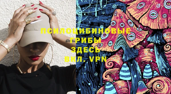 стаф Коряжма