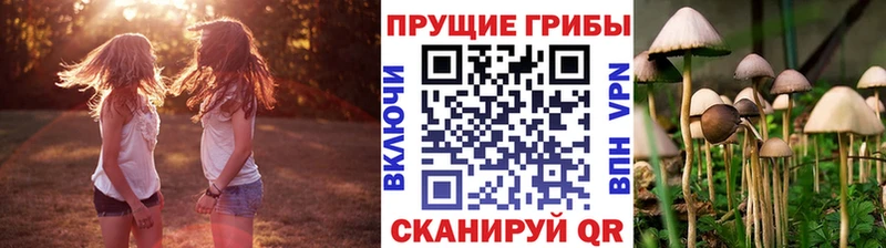 Галлюциногенные грибы мицелий  Купить закладки  Слободской 